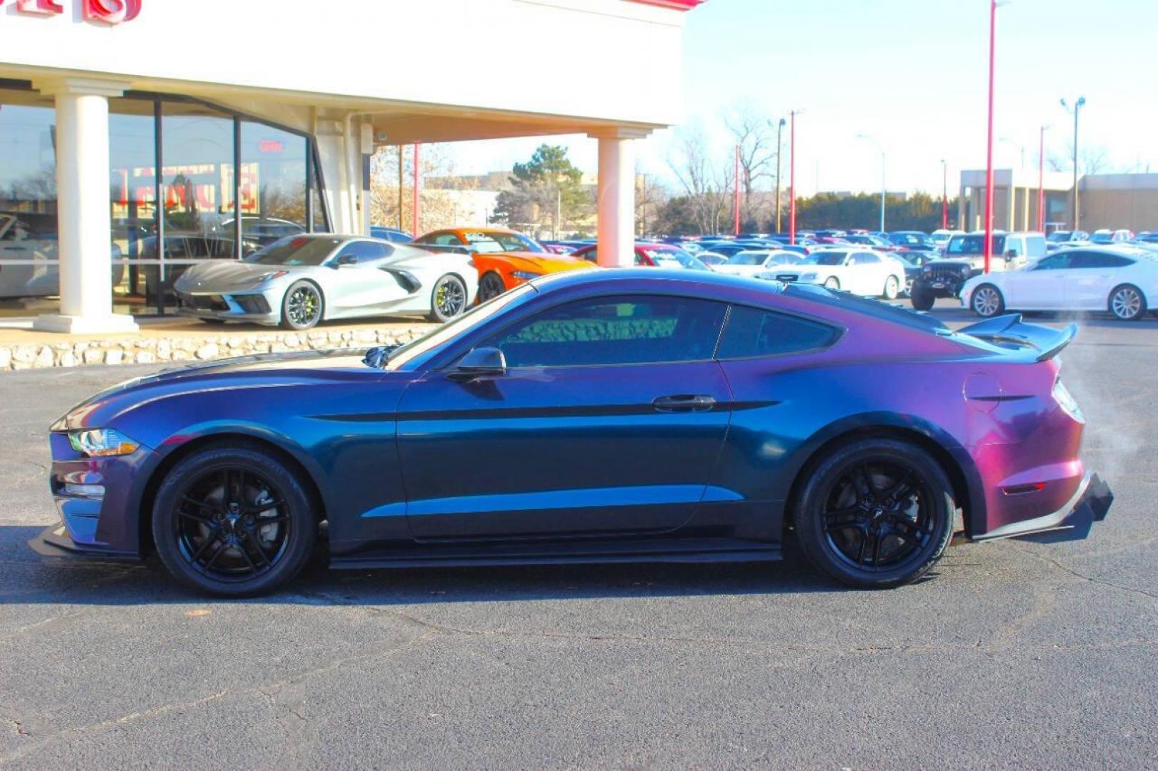 2019 Purple Ford Mustang EcoBoost Coupe (1FA6P8TH5K5) with an 2.3L L4 DOHC 16V engine, Automatic 10-Speed transmission, located at 4301 NW 39th , Oklahoma City, OK, 73112, (405) 949-5600, 35.512135, -97.598671 - NO DRIVERS LICENCE NO-FULL COVERAGE INSURANCE-NO CREDIT CHECK. COME ON OVER TO SUPERSPORTS AND TAKE A LOOK AND TEST DRIVE. PLEASE GIVE US A CALL AT (405) 949-5600. NO LICENSIA DE MANEJAR- NO SEGURO DE COBERTURA TOTAL- NO VERIFICACCION DE CREDITO. POR FAVOR VENGAN A SUPERSPORTS, ECHE UN - Photo#6