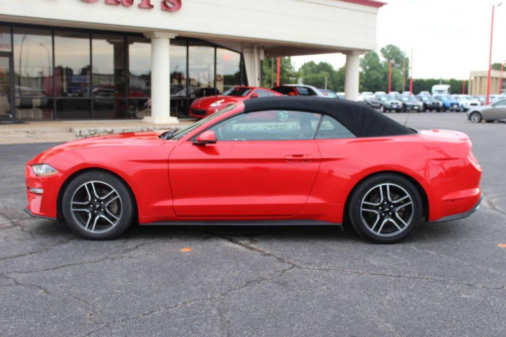 2020 Red Ford Mustang EcoBoost Premium Convertible (1FATP8UH4L5) with an 2.3L L4 DOHC 16V engine, Automatic 10-Speed transmission, located at 4301 NW 39th , Oklahoma City, OK, 73112, (405) 949-5600, 35.512135, -97.598671 - NO DRIVERS LICENSE - NO FULL COVERAGE INSURANCE - NO CREDIT CHECK. COME ON OVER TO SUPERSPORTS AND TAKE A LOOK AND TEST DRIVE PLEASE GIVE US A CALL AT (405) 949-5600. NO LICENCIA DE MANEJAR - NO SEGURO DE COBERTURA TOTAL - NO VERIFICACION DE CREDITO. POR FAVOR VENGAN A SUPERSPORTS, ECHE U - Photo#12