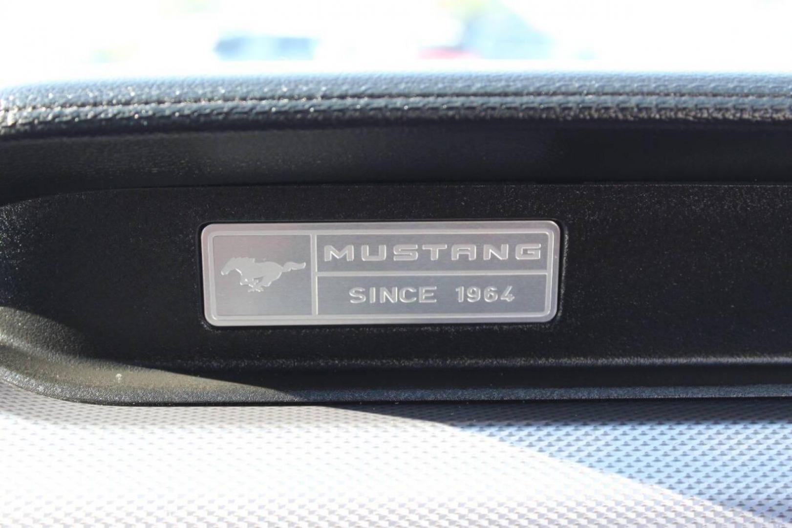 2017 Silver Ford Mustang GT Premium Coupe (1FA6P8CF6H5) with an 5.0L V8 DOHC 32V engine, Automatic 6-Speed transmission, located at 4301 NW 39th , Oklahoma City, OK, 73112, (405) 949-5600, 35.512135, -97.598671 - NO DRIVERS LICENCE -NO FULL COVERAGE INSURANCE - NO CREDIT CHECK. COME ON OVER TO SUPERSPORTS, TAKE A LOOK AND TEST DRIVE. PLEASE GIVE US A CALL AT (405) 949-5600. NO LICENCIA DE CONDUCIR - NO SEGURO DE COBERTURA TOTAL - NO VERIFICACION DE CREDITO. VISITENOS EN SUPERSPORTS, MIRE NUESTRO - Photo#17