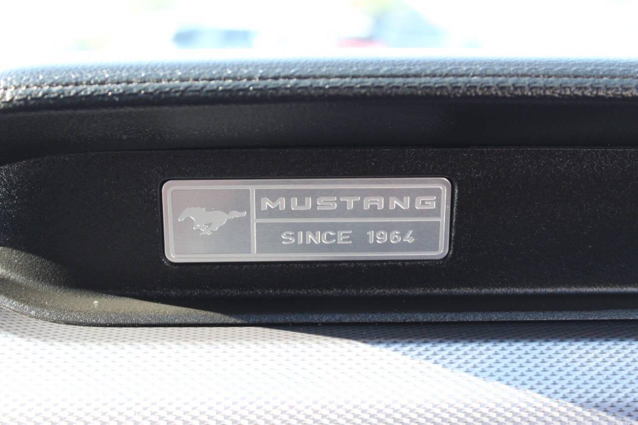 2017 Silver Ford Mustang GT Premium Coupe (1FA6P8CF6H5) with an 5.0L V8 5.0L V8 engine, Automatic 6-Speed transmission, located at 4301 NW 39th , Oklahoma City, OK, 73112, (405) 949-5600, 35.512135, -97.598671 - NO DRIVERS LICENCE -NO FULL COVERAGE INSURANCE - NO CREDIT CHECK. COME ON OVER TO SUPERSPORTS, TAKE A LOOK AND TEST DRIVE. PLEASE GIVE US A CALL AT (405) 949-5600. NO LICENCIA DE CONDUCIR - NO SEGURO DE COBERTURA TOTAL - NO VERIFICACION DE CREDITO. VISITENOS EN SUPERSPORTS, MIRE NUESTRO - Photo#17