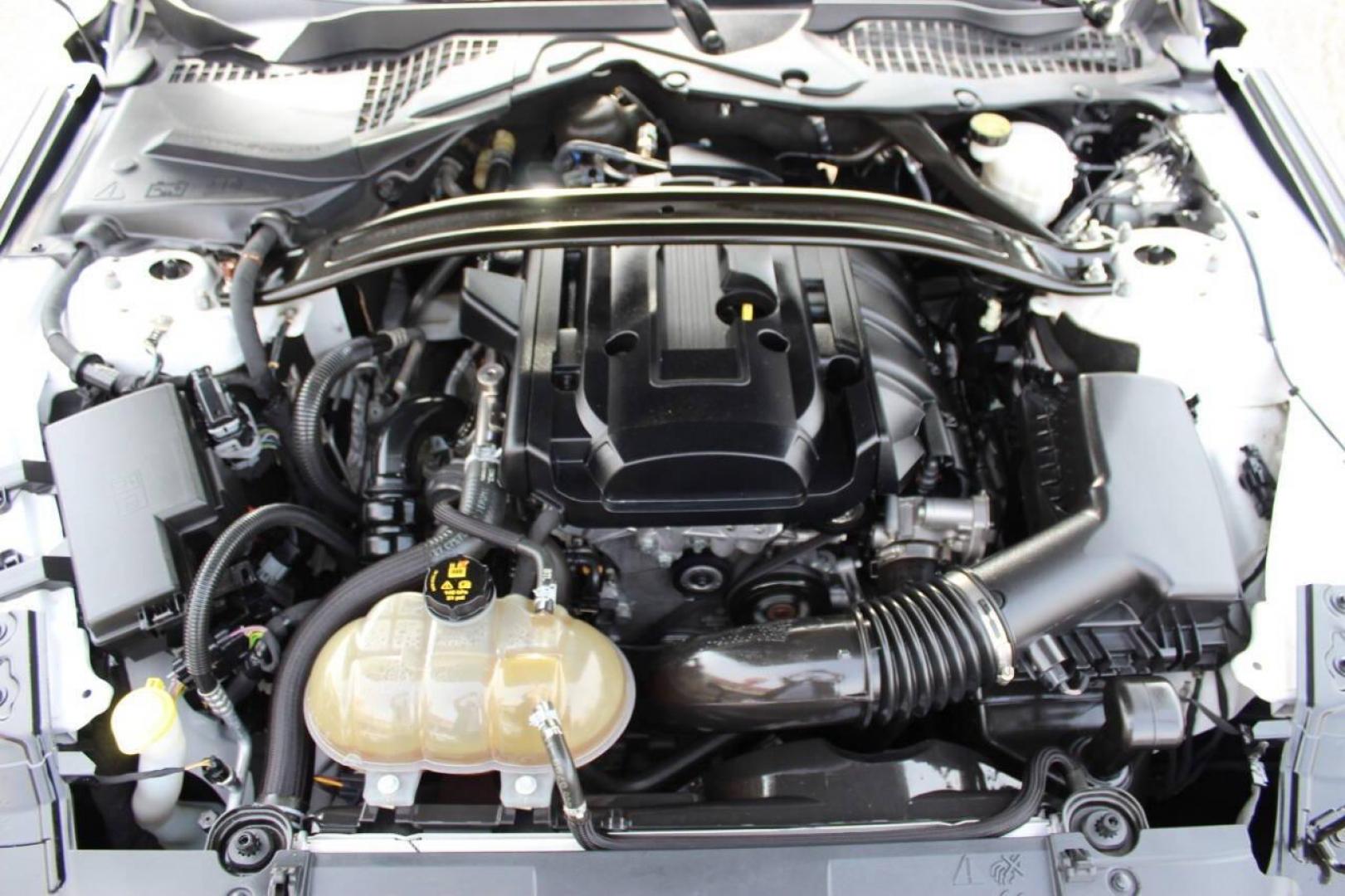 2019 White Ford Mustang EcoBoost Coupe (1FA6P8TH0K5) with an 2.3L L4 DOHC 16V engine, Automatic 10-Speed transmission, located at 4301 NW 39th , Oklahoma City, OK, 73112, (405) 949-5600, 35.512135, -97.598671 - NO DRIVERS LICENCE -NO FULL COVERAGE INSURANCE - NO CREDIT CHECK. COME ON OVER TO SUPERSPORTS, TAKE A LOOK AND TEST DRIVE. PLEASE GIVE US A CALL AT (405) 949-5600. NO LICENCIA DE CONDUCIR - NO SEGURO DE COBERTURA TOTAL - NO VERIFICACION DE CREDITO. VISITENOS EN SUPERSPORTS, MIRE NUESTRO - Photo#8
