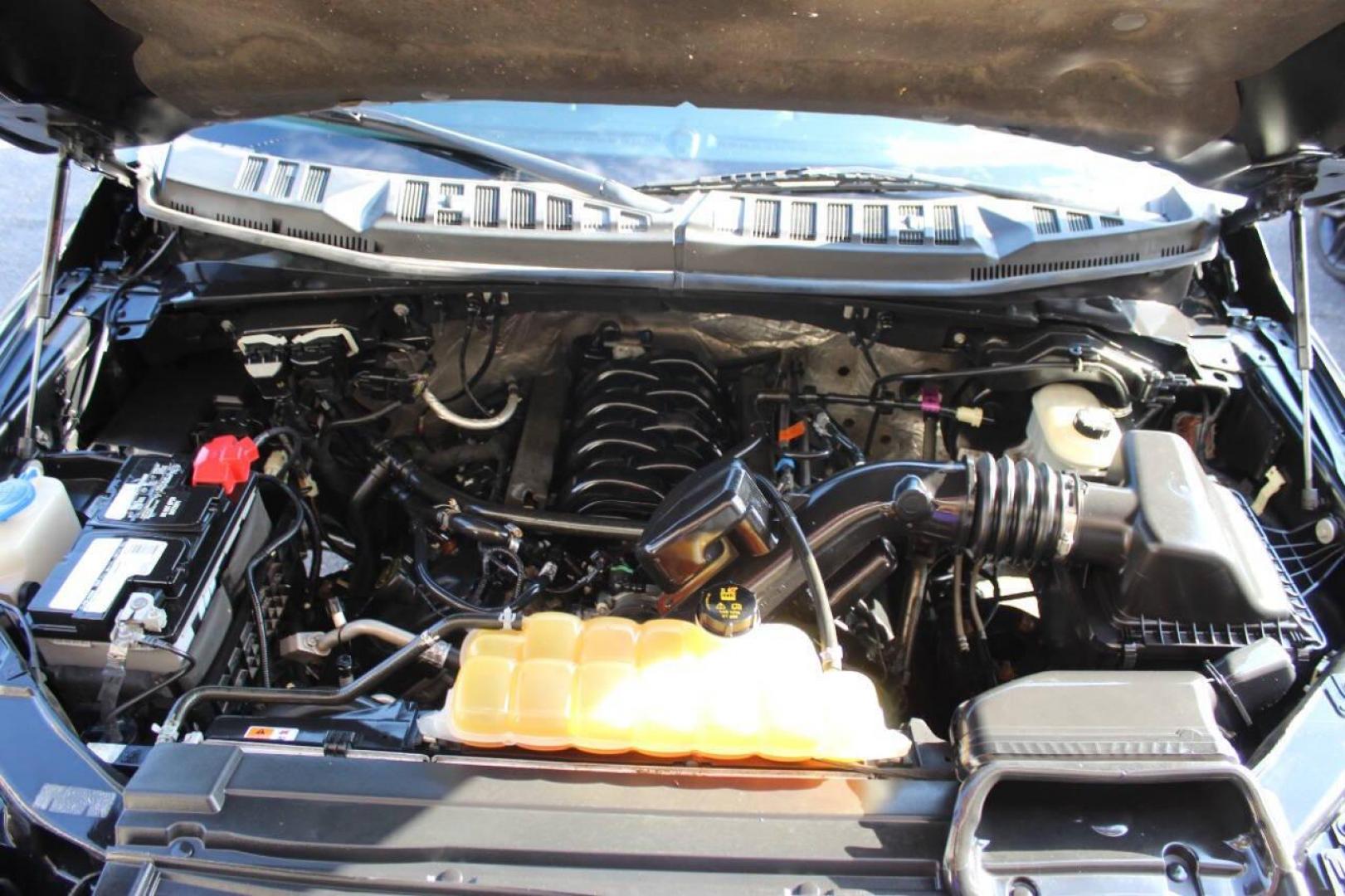 2016 Black Ford F-150 XLT SuperCrew 6.5-ft. Bed 4WD (1FTEW1EF3GK) with an 5.0L V8 engine, 6A transmission, located at 4301 NW 39th , Oklahoma City, OK, 73112, (405) 949-5600, 35.512135, -97.598671 - Photo#7