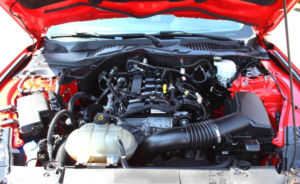 2021 Red Ford Mustang EcoBoost Coupe (1FA6P8TH2M5) with an 2.3L I4 Turbocharger 2.3L I4 engine, Automatic 10-Speed transmission, located at 4301 NW 39th , Oklahoma City, OK, 73112, (405) 949-5600, 35.512135, -97.598671 - Hablamos espanol. SPEND SMART --- BUY FROM SUPER SPORTS. ALL PRICES, DOWN PAYMENTS, PAYMENTS, AND FINANCE TERMS ARE NEGOTIABLE AT THE TIME OF APPROVAL. WE WILL WORK WITH YOU TO FIT YOUR BUDGET. WE WILL EVEN LOWER AND ADJUST THE NUMBERS TO HELP MAKE THE VEHICLE MORE AFFORDABLE FOR YOU.- Photo#7