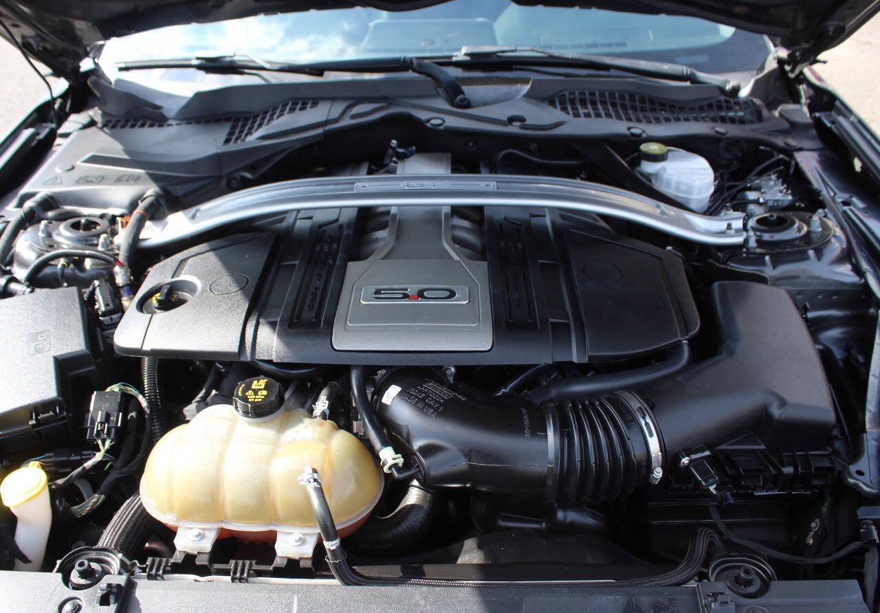 2019 Gray Ford Mustang GT Premium Coupe (1FA6P8CF8K5) with an 5.0L V8 5.0L V8 engine, Automatic 10-Speed transmission, located at 4301 NW 39th , Oklahoma City, OK, 73112, (405) 949-5600, 35.512135, -97.598671- Photo#7